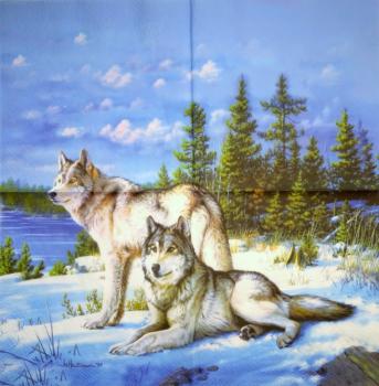 057 Animals Autumn - 3-ply - Nouveau